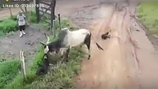 Wewwwwwwww