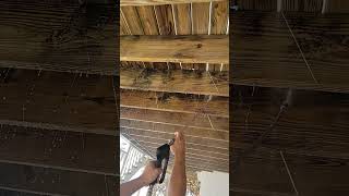 Belleair Beach Waterfront 23 Deck Surface Restoration Dpi Pressure Washing Clearwater