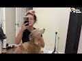 Neglected Rescue Doodle Can't Stop Crashing Moms Bath Time | The Dodo