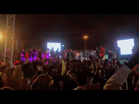 المدمرا الطول والقوام والشكل الخفافيش 