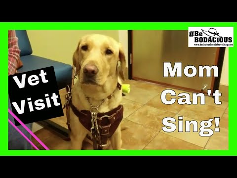 How Much Does Banfield Charge For A Visit 63