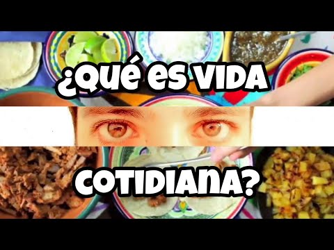 Vídeo: Vida Cotidiana