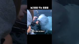 놀라움을 주는 동물들