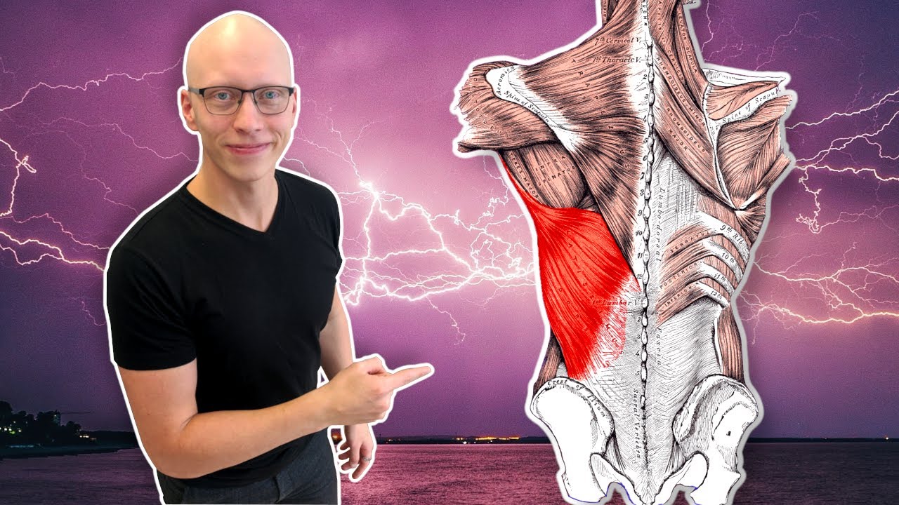 Tämä lihas jumittaa alaselän, lavat ja olkapäät! Näin venyttelet sitä.