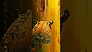 Life of Pi | 4K Aesthetic Cinematic Edit 🌊🐅 | Visual Masterpiece by Mxdhav.4k edit