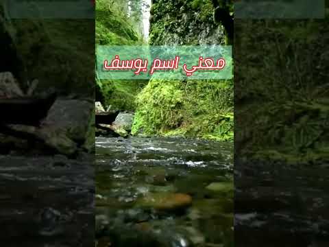 معني واصل اسم يوسف يوسف