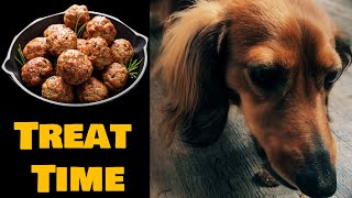 Mini Dachshund Tries Meatballs Cute Dog Video 4K