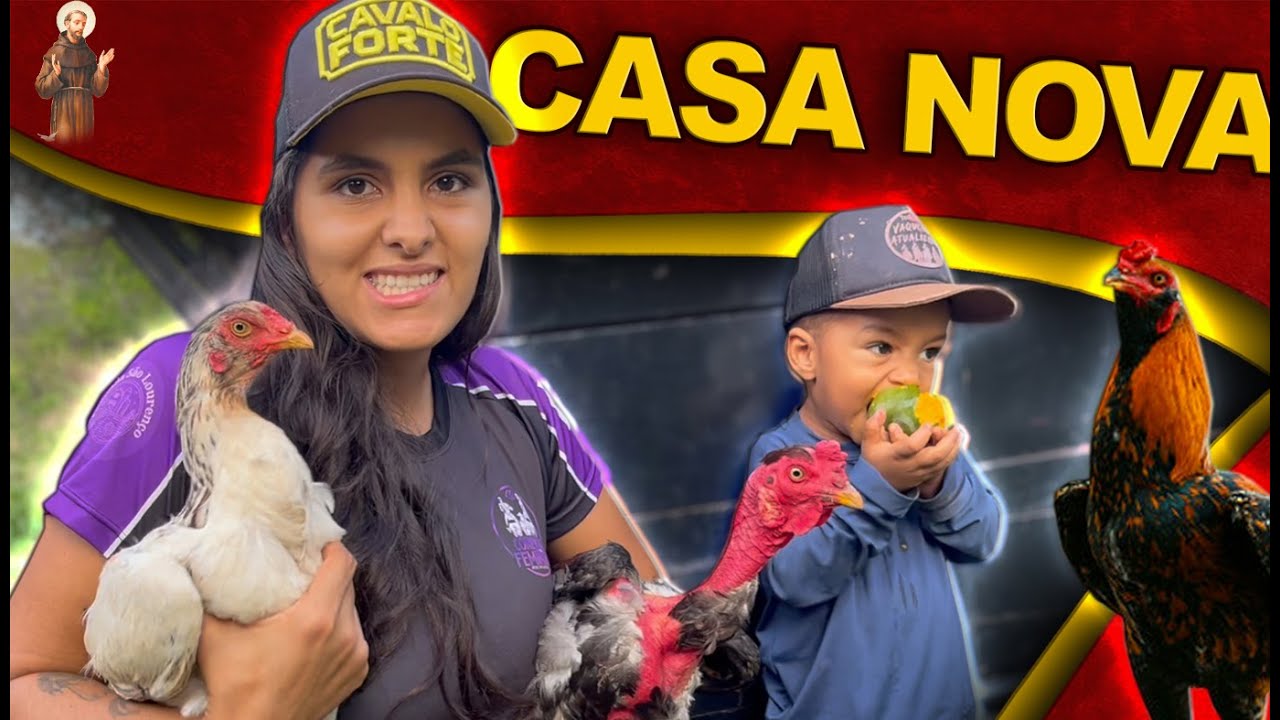 Levando as galinhas para casa nova