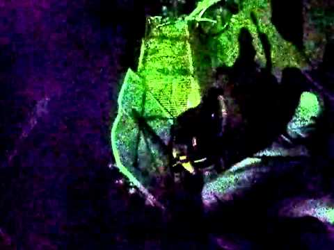 ギター 弾き語り オリジナル曲 メモリー original memory in久宝寺公園