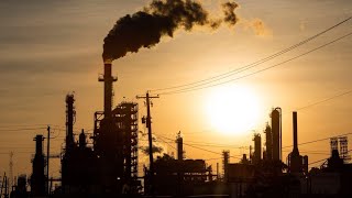 Climate Change Is Worse Than the Pandemic, Says Gates Wealth