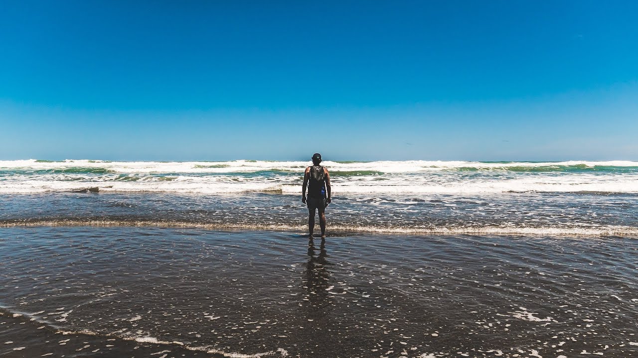 Te Henga Walkway - Cinematic