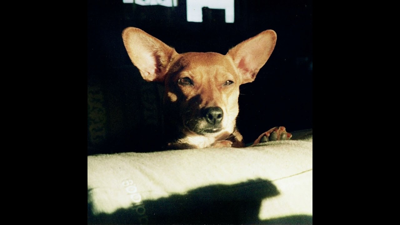 Mexico - Taylor J Campbell [Full EP / Official Audio]