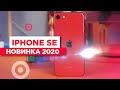 Обзор iPhone SE 2020 / "Палочка-выручалочка Apple"