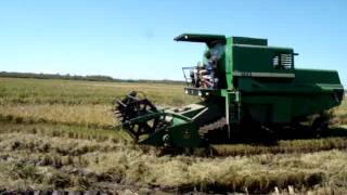 Cosechadora John Deere 1175 Con Bandas En Arroz