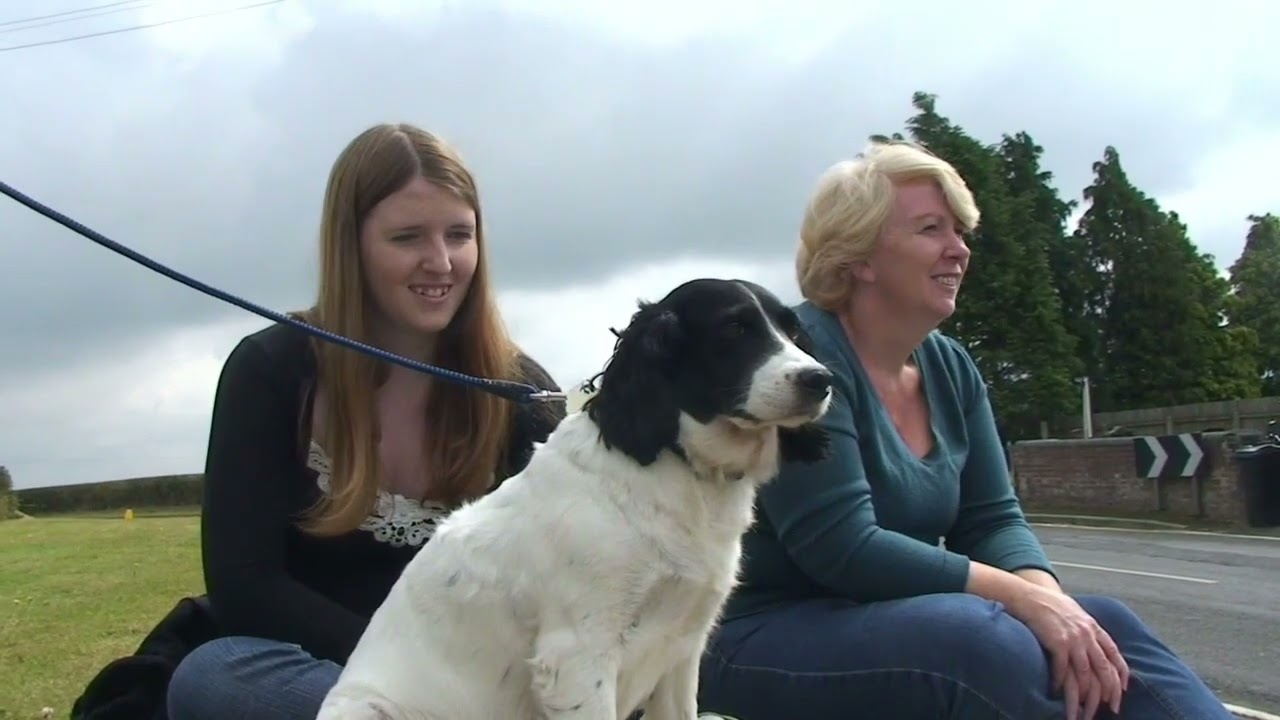 2011 Brockton Shropshire