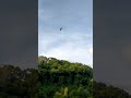 Paramotor Flight and ATV Rides