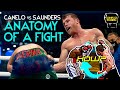 Anatomy of a Fight: Canelo Alvarez vs Billy Joe Saunders | Boxing Breakdown | Film Study