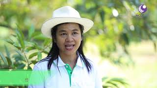 คนไทยหัวใจเกษตร 20 กันยายน 2562 B1