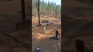 2024 - Hidden Thorn - Mud Bog Short 7