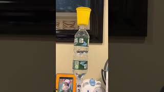 Insane dice stack and bottle flip trick shot.