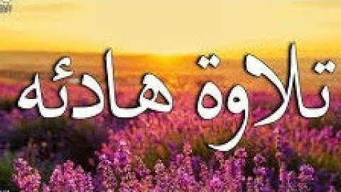 تلاوه رئعه من دار الحديث معبر القارئ صلاح الوصابي