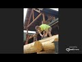 Planing a log by log masters restorations