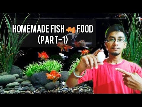 Video: Wardley Advanced Nutrition Perfect Protein Tropical Flake Fish Food- ը հետ է կանչվում