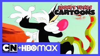 Lumea Looney Tunes | Sylvester cel înfometat | Cartoon Network