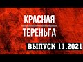 КРАСНАЯ ТЕРЕНЬГА. ВЫПУСК НОЯБРЬ 2021