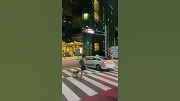 스마트 도시를 꿈꾸는 광안리 해수욕장 | 스마트 횡단보도 신호등