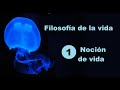 Filosofía de la vida: noción de vida (parte 1)