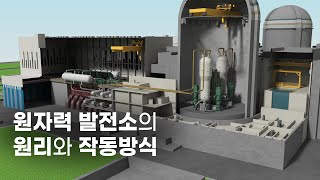 원자력 발전소는 어떻게 작동할까? [1편] 원자력 발전소의 원리와 작동방식