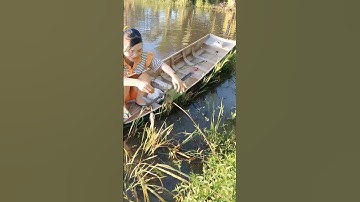 Cắm câu cá lóc mùa nước nổi #xuhuong2024 #xuhuongyoutube #321shorts #shrots