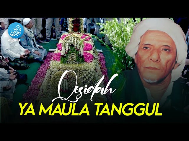 Ya Maula Tanggul & Lirik (deskripsi) | Hadroh Majelis Rasulullah SAW Jatim class=