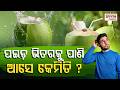 ପଇଡ ଭିତରକୁ ପାଣି ଆସେ କେମିତି? | ଜାଣନ୍ତୁ ପଇଡ ପାଣିର ରହସ୍ୟ | Coconut Water Science Explained | Prameya