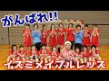 プレーオフ進出も中止に（涙）頑張れ！イズミメイプルレッズ