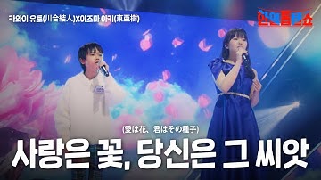 카와이 유토(川合結人)X아즈마 아키(東亜樹) - 사랑은 꽃, 당신은 그 씨앗(愛は花、君はその種子)｜한일톱텐쇼 41회