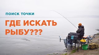 видео: Ищем лучшее место для рыбалки! Промер дна фидером картинка: Ищем лучшее место для рыбалки! Промер дна фидером