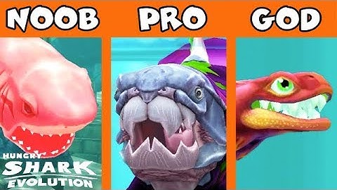 NOOB vs PRO vs GOD!!! (HUNGRY SHARK EVOLUTION)