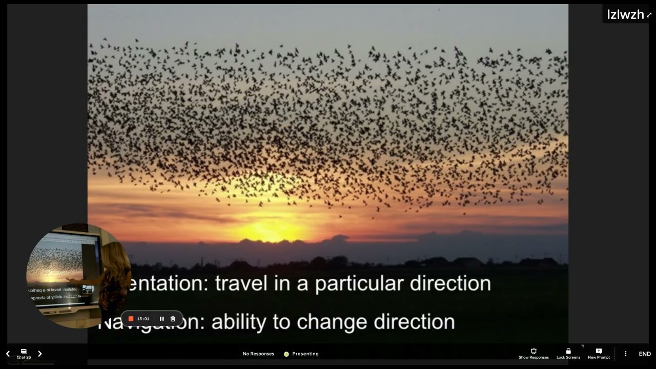 APBio Review Ch. 43: Behavioral Ecology