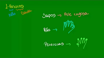Como são classificados os efeitos da radiação?