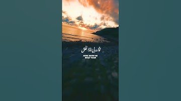 (هَٰذَا خَلۡقُ ٱللَّهِ) 🌹 الشيخ ياسر الدوسري / سورة لقمان (١١)  #القرآن_الكريم #ارح_قلبك #يارب