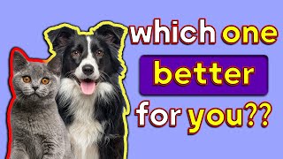 which pet is right for me ? cat or dog
