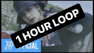 Stray Kids "Easy" (1 HOUR LOOP)