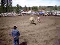 Brain Butler riding a wild cow at the Arden Rodeo