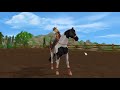 Beginning of video