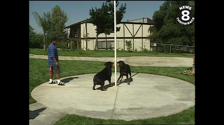 News 8's Larry Himmel - Backyard Series 1993: Fami...
