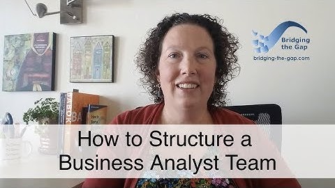 How to Structure a Business Analyst Team
