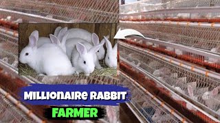 The Cost Of Starting A Proftable RABBIT Farming Business For Beginners | DETAILED