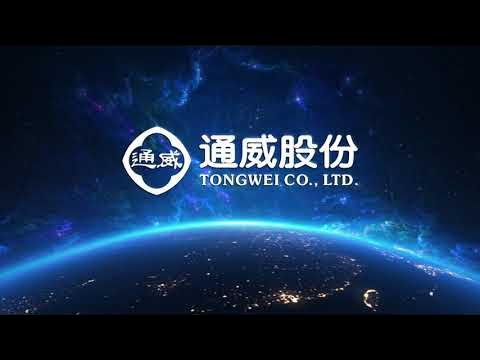 beijing tongwei international travel service co. ltd